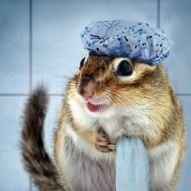 Coporate Design Herne